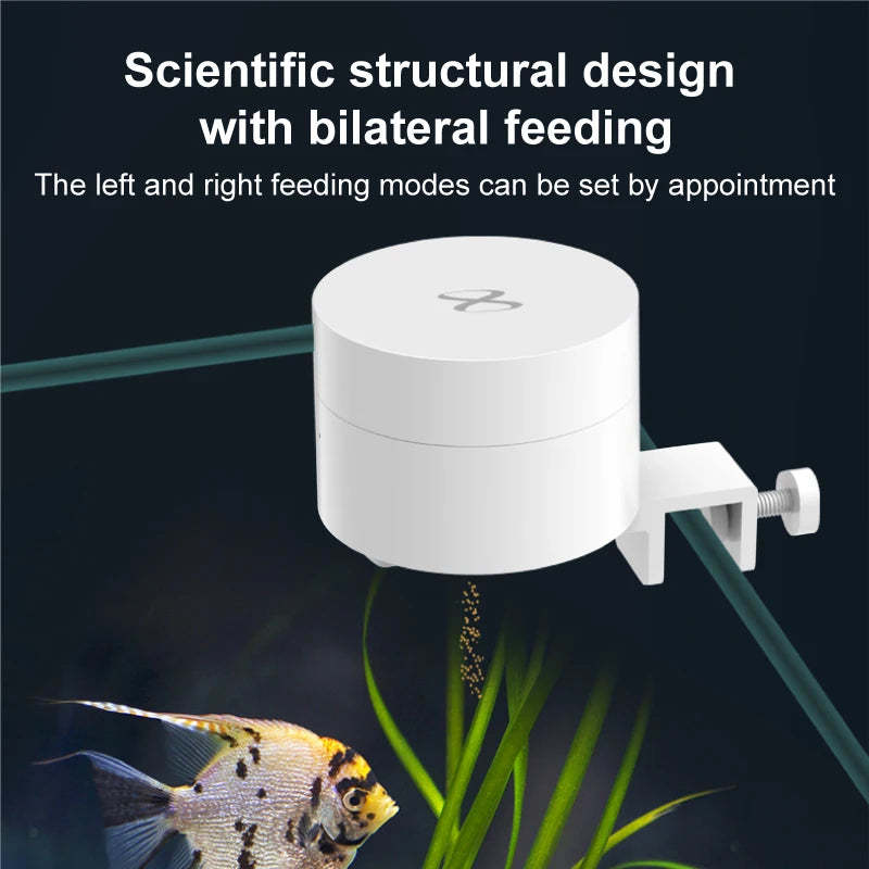 Automatic Fish Feeder With WiFi