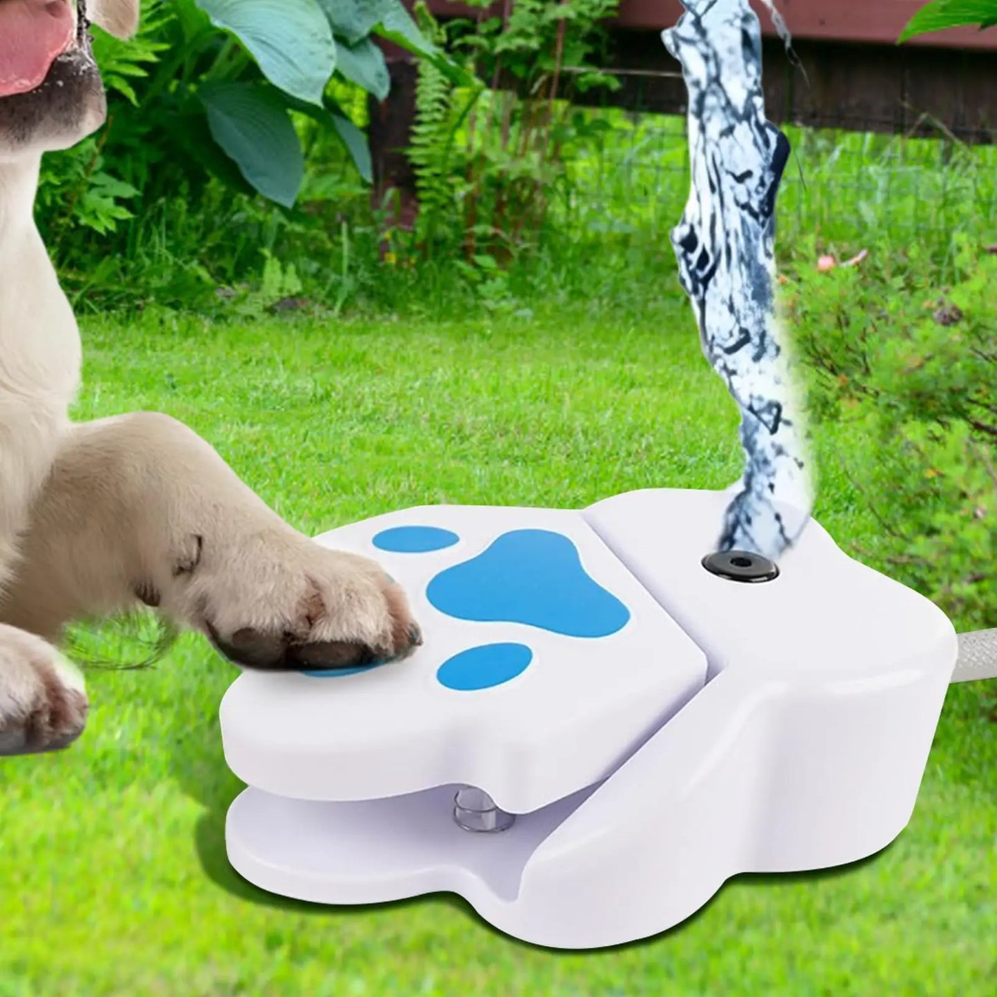 Dog Water Step On Fountain Toy